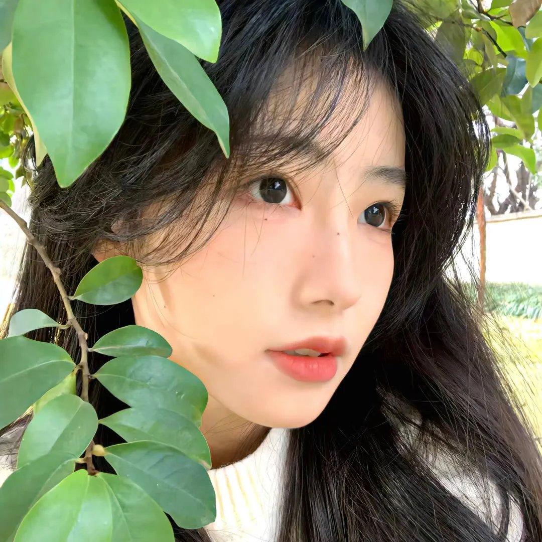 高分精选